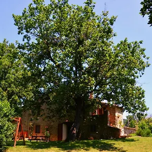 Il Venaio Bed & Breakfast Massa Marittima